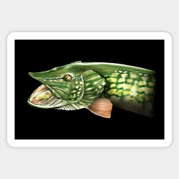 Northern Pike Fishing Art Illustration Sticker by MarkusShirts